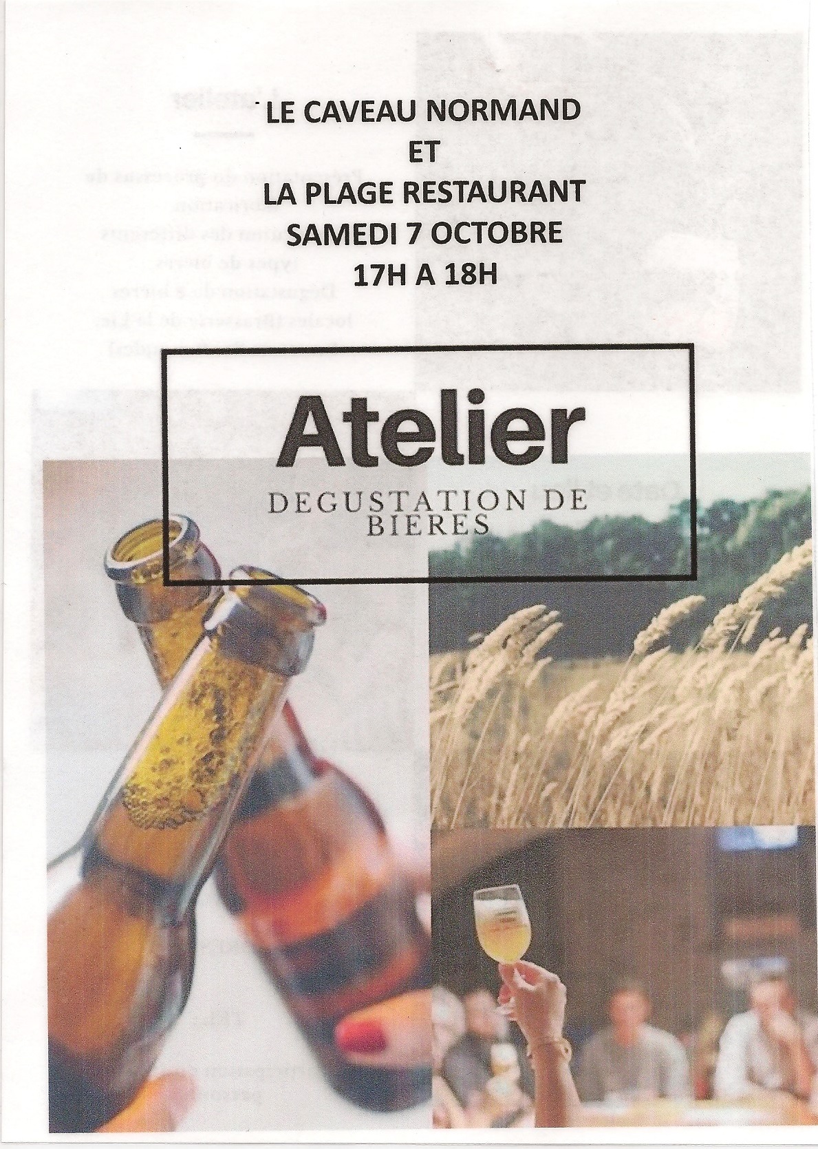 Atelier de dégustation de bières