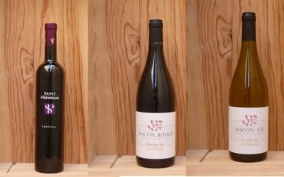 3 nouveautés de vins : Saint-Preignan et Clotilde Davenne